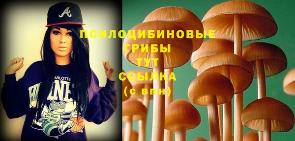 молекула духа Верея